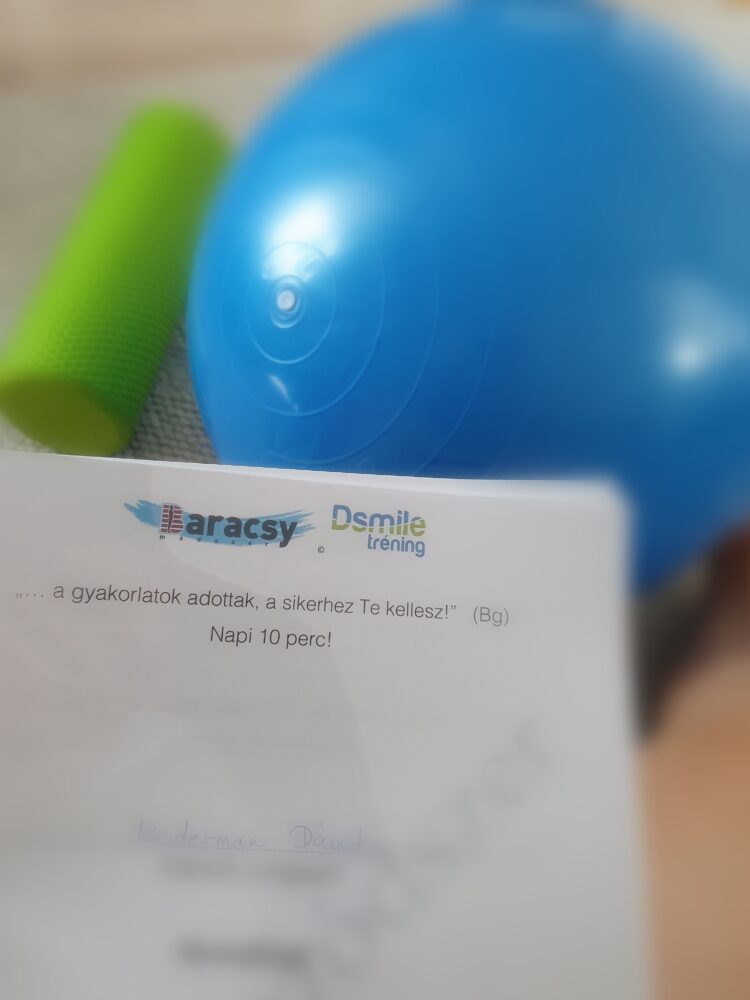 Mire nyújt megoldást a Dsmile?